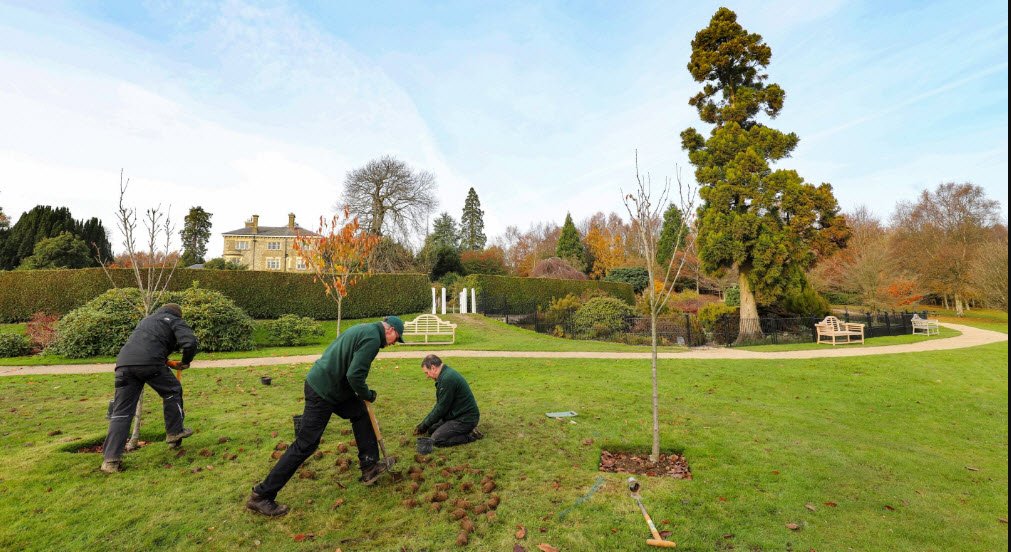 National Trust - Emmetts Garden, Ide Hill, United Kingdom